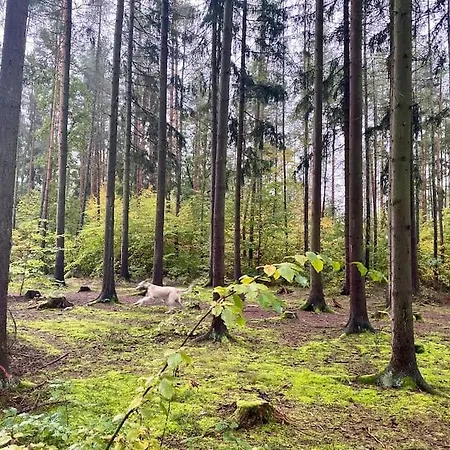 Séjour à la campagne Apartmá V Rodinném Domě Kousek Od Prahy